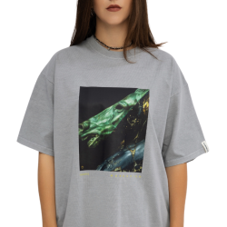 Футболка "THE HORSE" серая