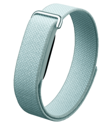 Фитнес-браслет Google Fitbit Air "туман"