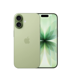 Смартфон iPhone 17 512Гб eSim зеленый